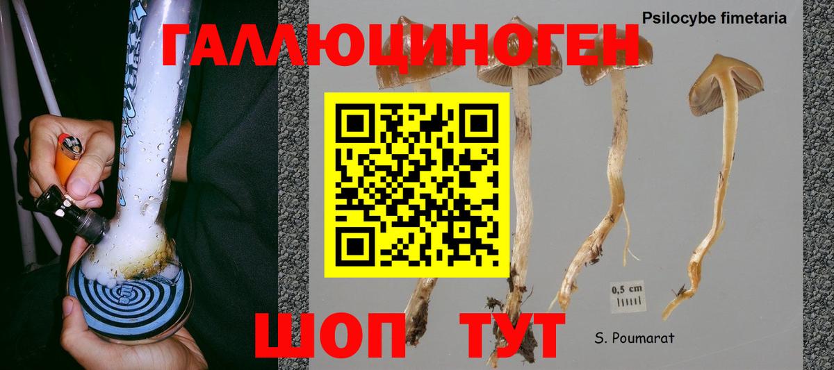 Псилоцибиновые грибы Magic Shrooms  Вход с VPN  Галлюциногенные грибы мицелий  Гай 